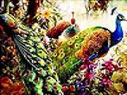 Play Dream peacocks slide puzzle