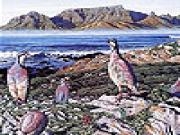 Play Mountain partridge puzzle