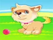 Play Cute puppy dressup