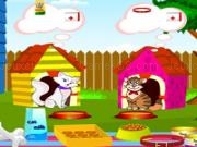 Play Care your sweet cats