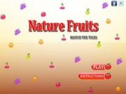 Play Nature fruits match the tiles