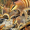 Play Cute forest animals slide puzzle