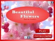 Play Beautiful flowers - find the numbers