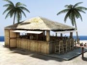 Play Coca cabana race