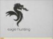 Play Eagle hunting