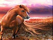 Play Fantastic horse slide puzzle