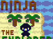 Play Ninja the explorer