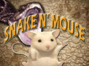 Play Snake n mouse