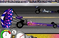 Play Goosehead racing