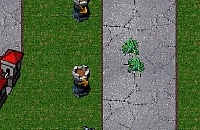Play Flash craft
