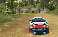 Play Rally point 2