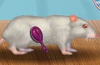 Play Mighty mouse