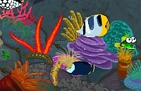 Play Evolvo