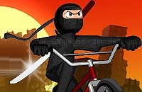 Play Bmx stunts 3