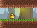 Play Gravity duck 3