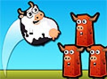 Play Cow a boom