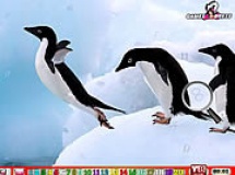 Play Happy penguin hn