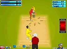 Play Ipl cricket ultimate