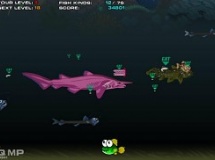 Play Evolvo