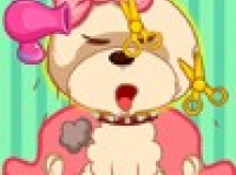 Play Poodle contest makeover