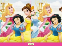 Play Disney princess differences