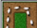 Play Shock defence
