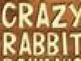 Play Crazy rabbit bowling