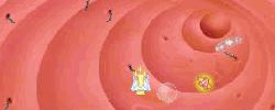 Play Antibiotic