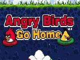 Play Angry birds go home