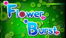 Play Flower burst