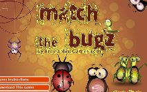 Play Match the bugs