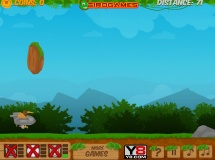 Play Flying kiwi