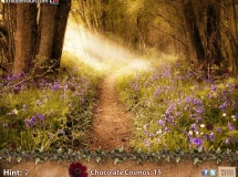 Play The flower seeker