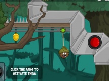Play Doctor acorn