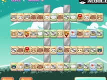 Play Cute kitty matching