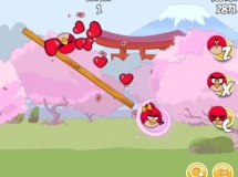 Play Angry birds lover