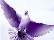 Play Flying doves freedom puzzle