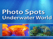 Play Photo spots - underwater world