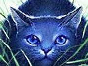 Play Blue cat in the garden  puzzle