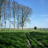 Play Jigsaw: grassy fields