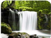 Play Mountain brook find numbers