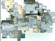 Jugar a Little polar bear