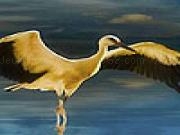 Play Great white storks puzzle