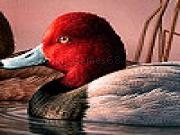 Play Ducks floating in the water puzzle