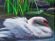 Play Swan in the reed slide puzzle