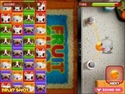 Play Canimals: fruit shot