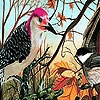 Play Forest  birds nest puzzle