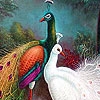 Play Wondrous peacocks puzzle
