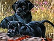 Play Black funny puppies puzzle