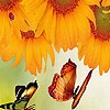 Play Sunflowers garden puzzle